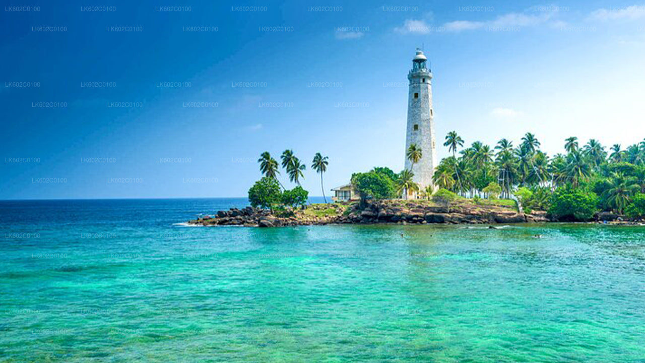 韦利格默市南部海岸亮点