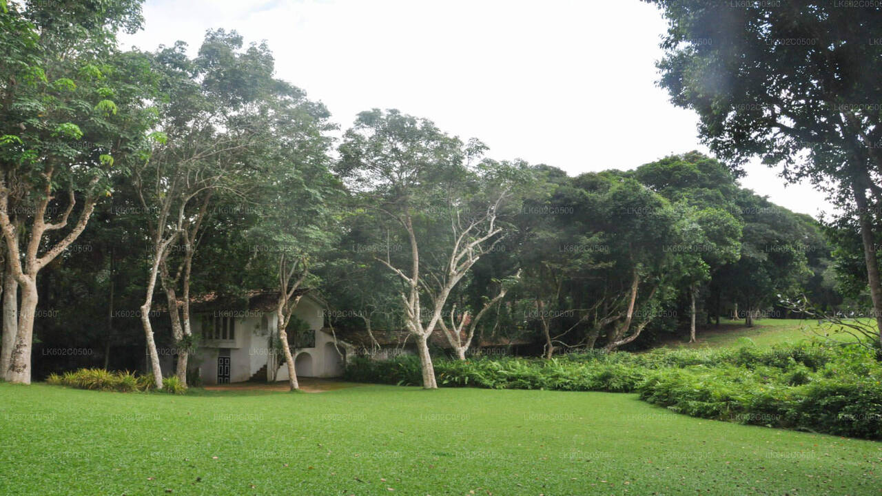 从韦利格默出发的本托塔城市之旅