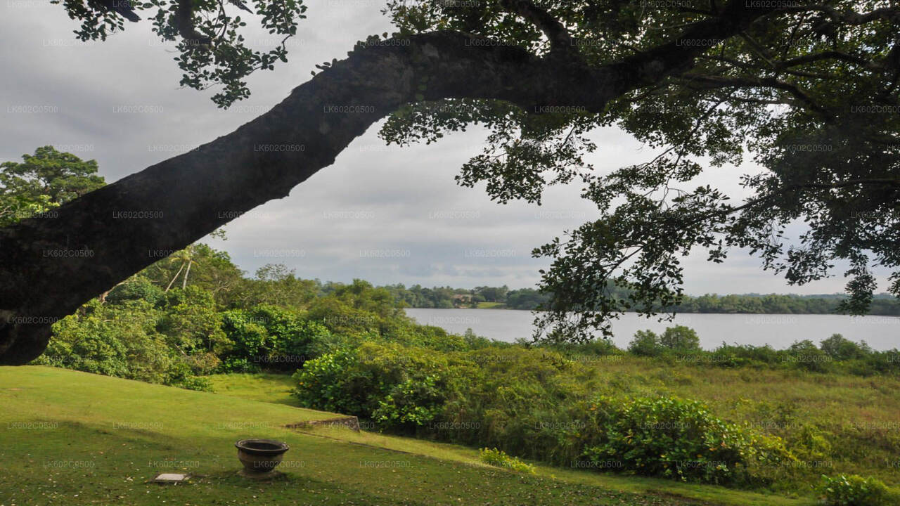 从韦利格默出发的本托塔城市之旅