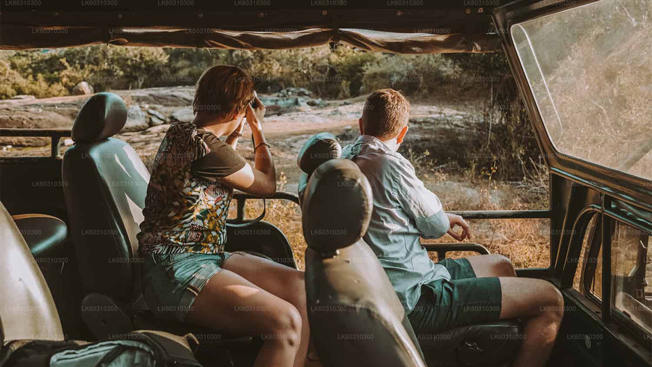 阿杭格玛出发的雅拉国家公园野生动物园