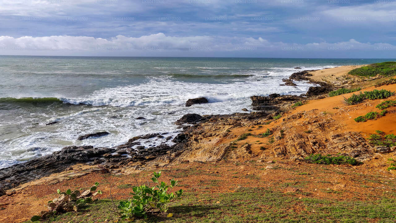 乌纳瓦图纳出发的本达拉国家公园野生动物园