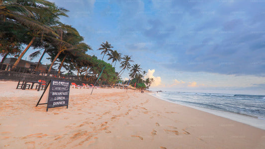 乌纳瓦图纳南部海岸亮点