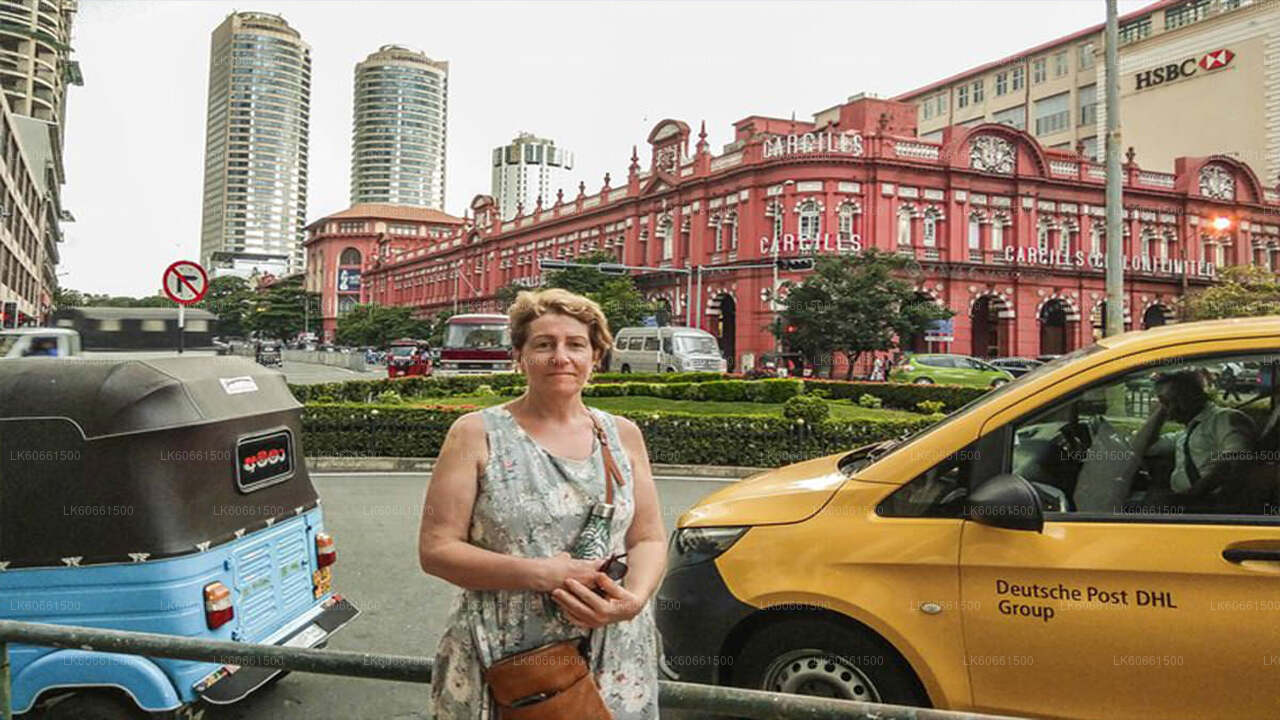 从拉维尼亚山出发的科伦坡城市之旅