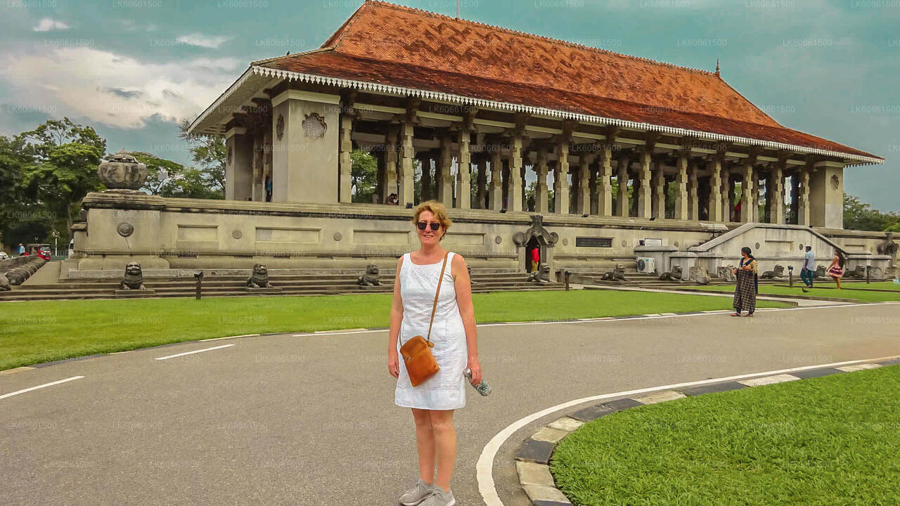 从拉维尼亚山出发的科伦坡城市之旅