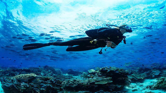 本托塔专业水肺潜水