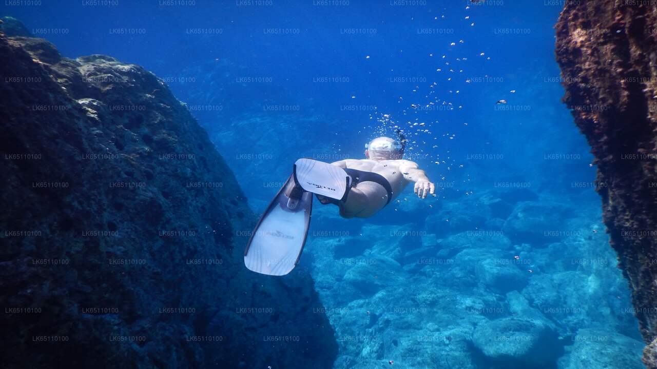 本托塔专业水肺潜水