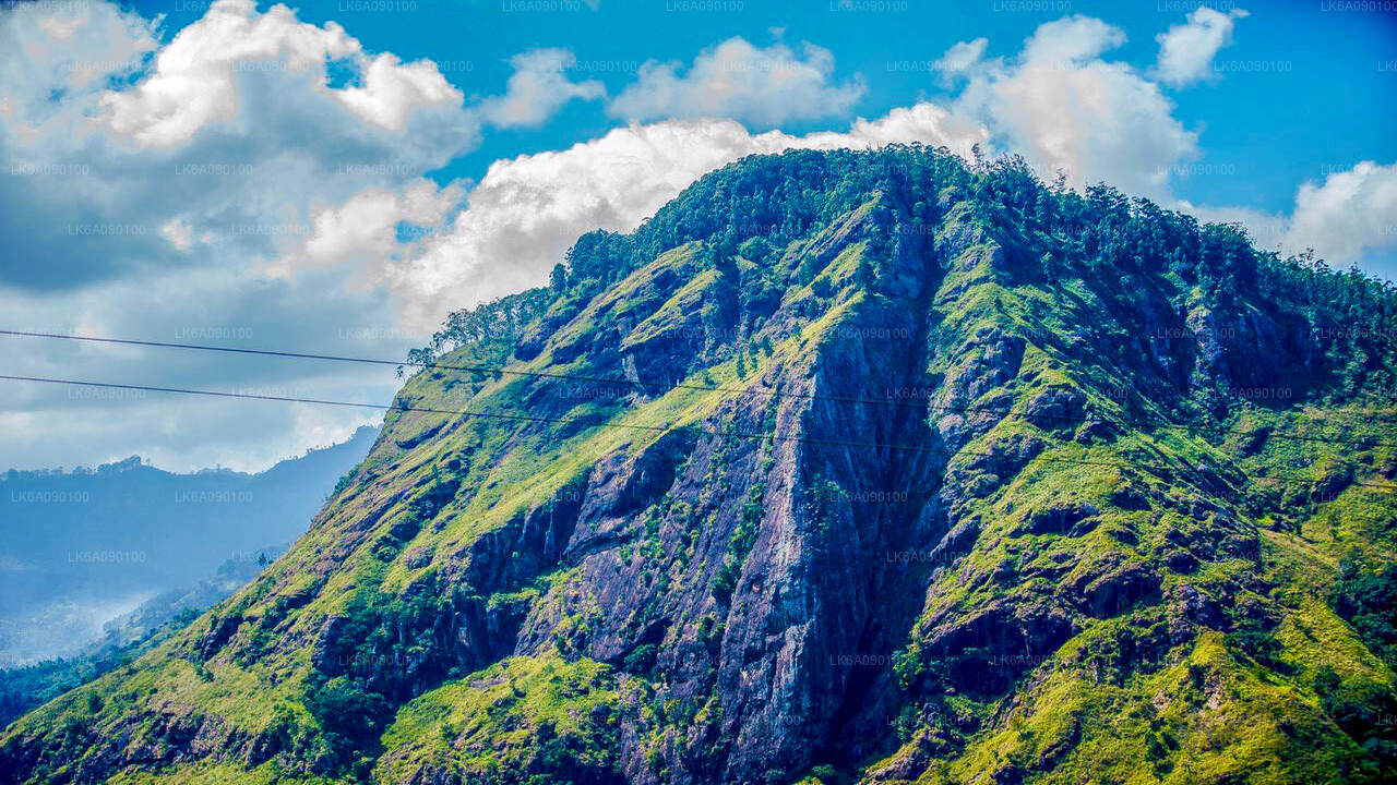 来自 Ella 的飞行 Ravana Mega