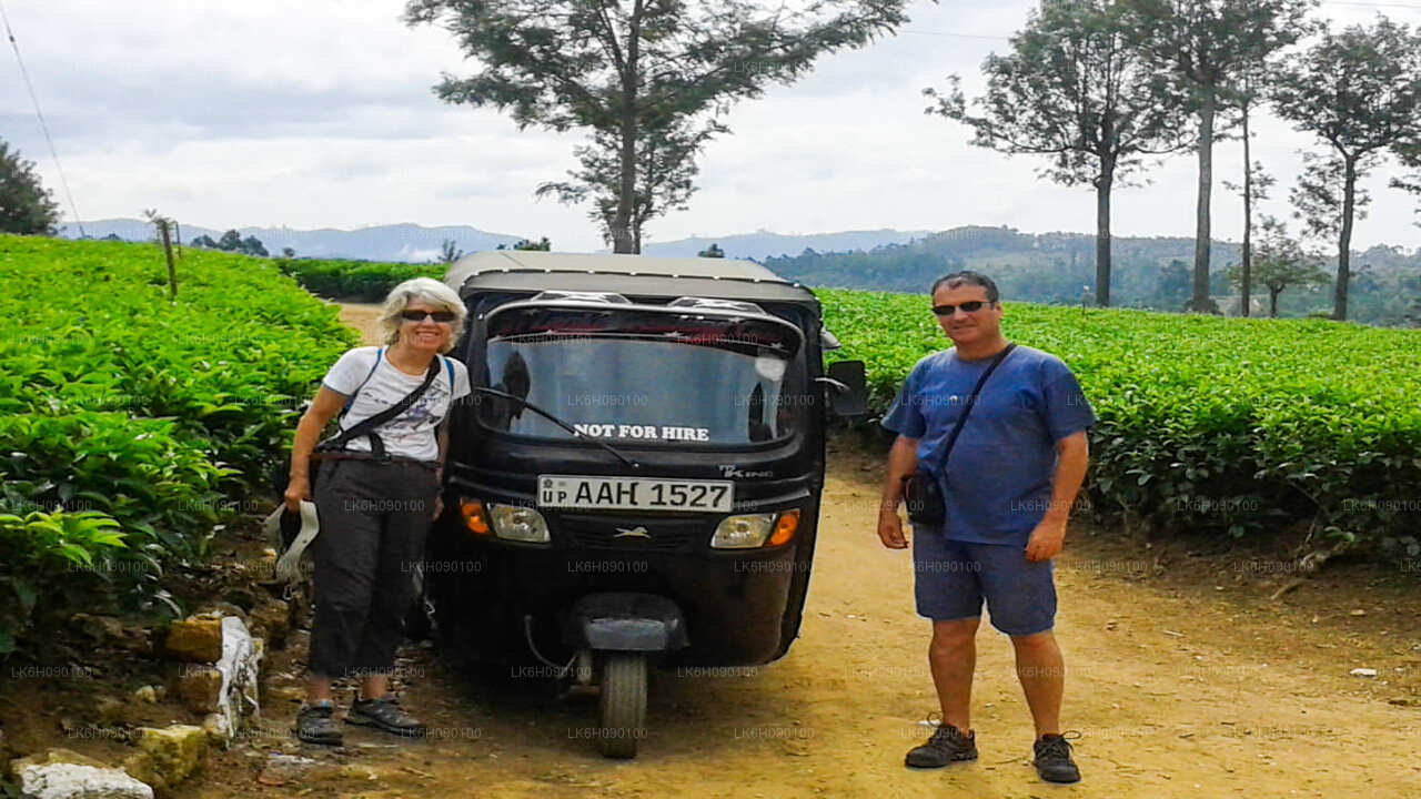 来自 Ella 的 Tuk Tuk 冒险