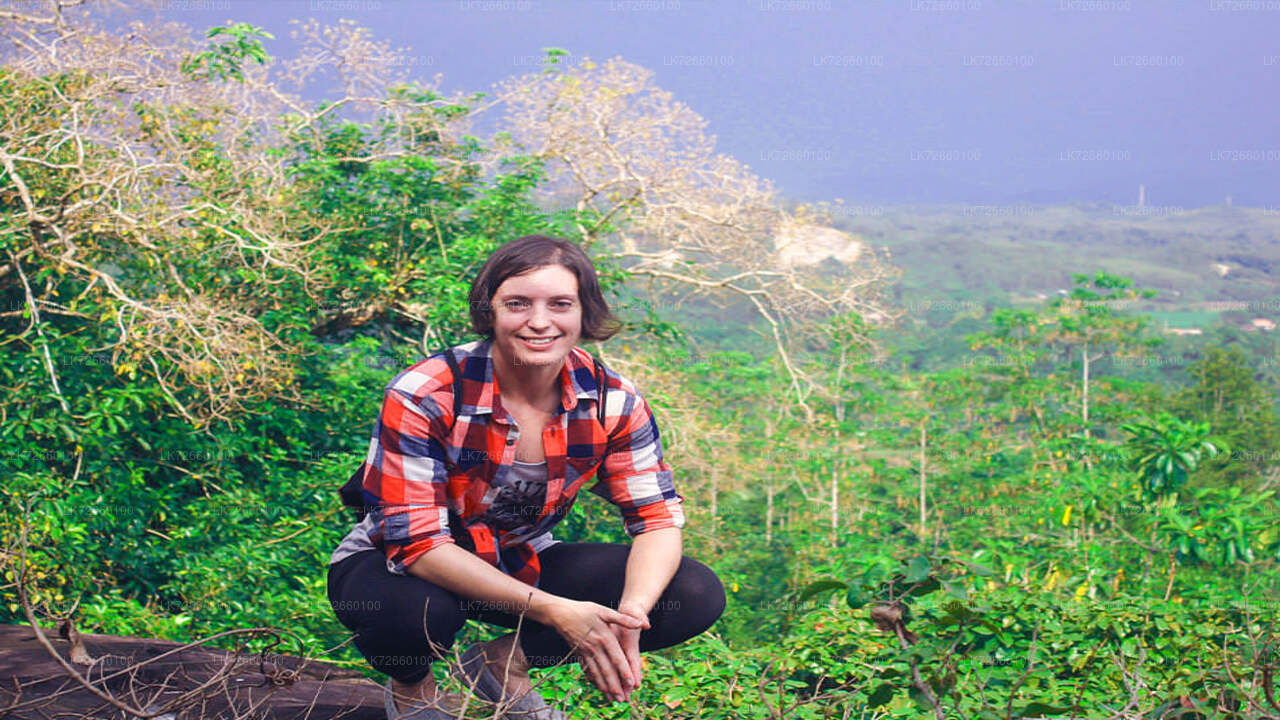 拉维尼亚山森林攀岩