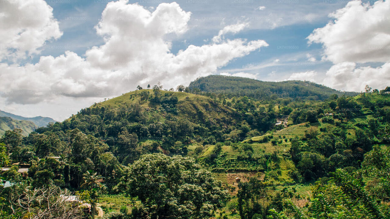 Trekking to Warakara Waterfall from Ella