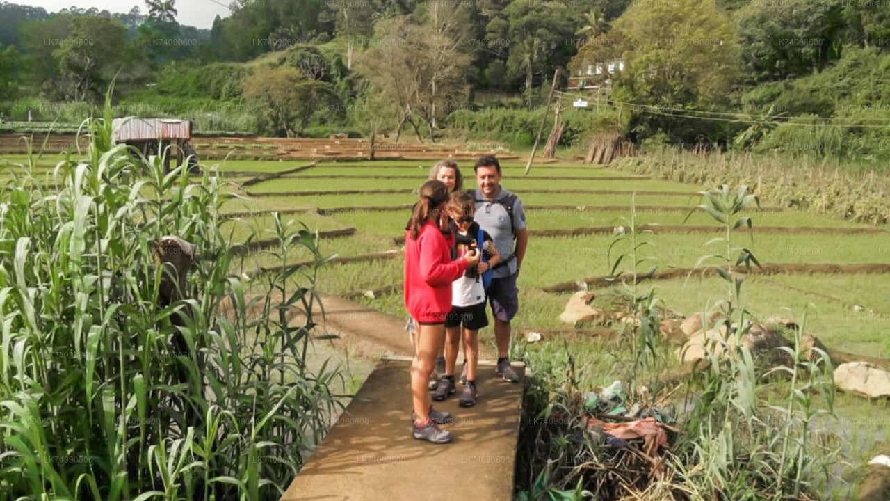 艾拉徒步之旅来自艾拉的三个偶像
