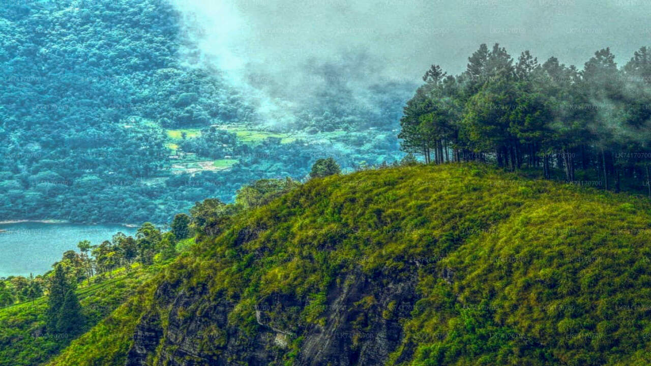 从康提徒步前往孔雀山