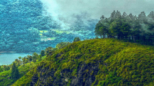 从康提徒步前往孔雀山