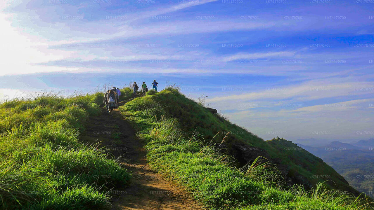 从康提徒步前往孔雀山