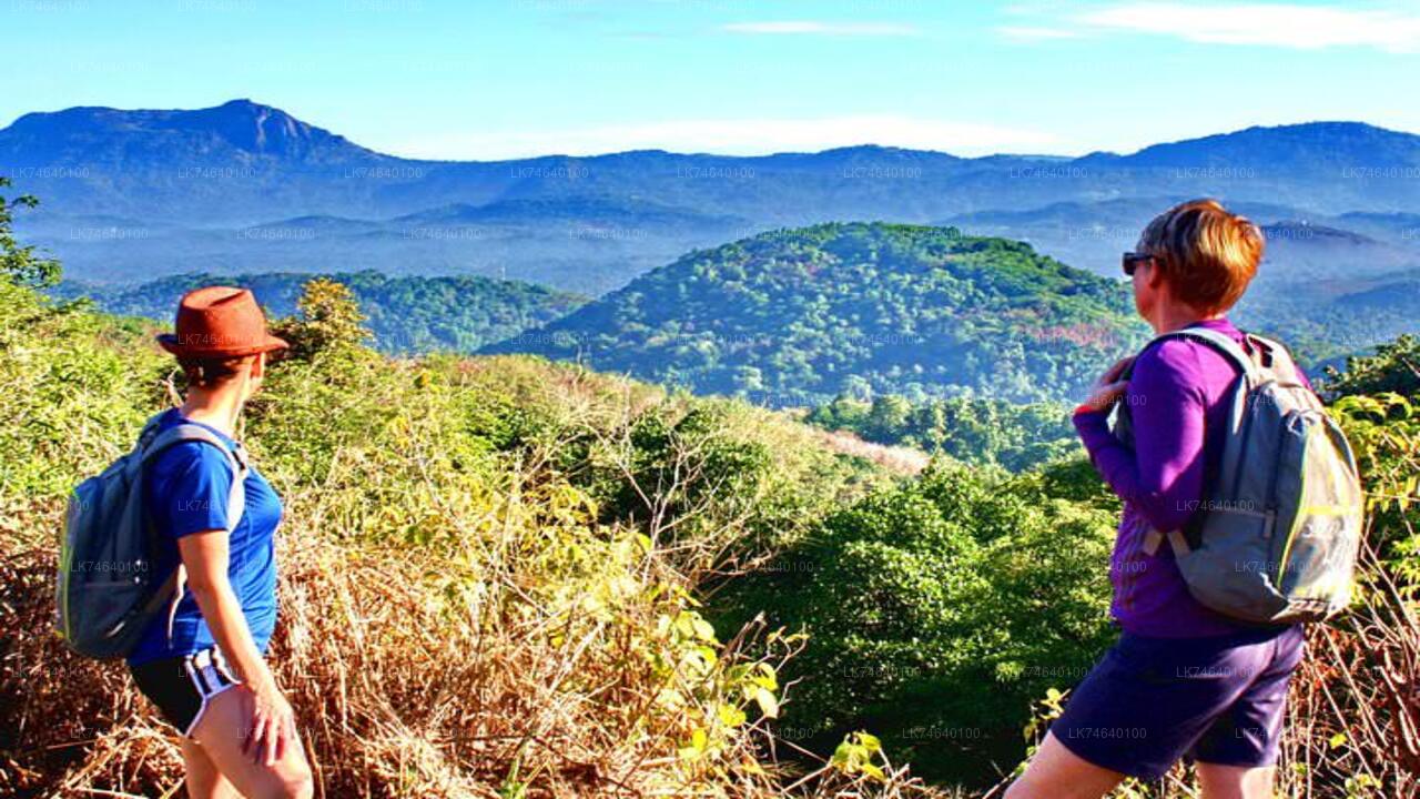 从凯格勒徒步前往圣经岩