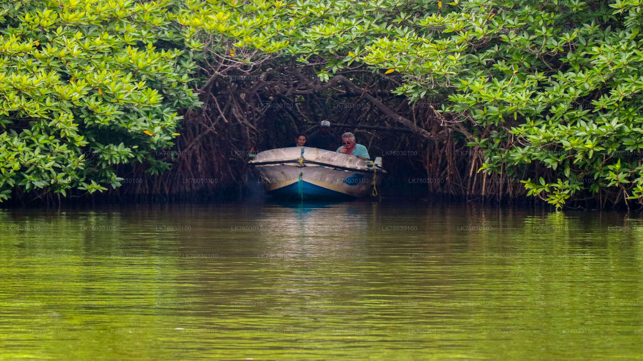 Madu River Safari and Turtle Hatchery from Kosgoda