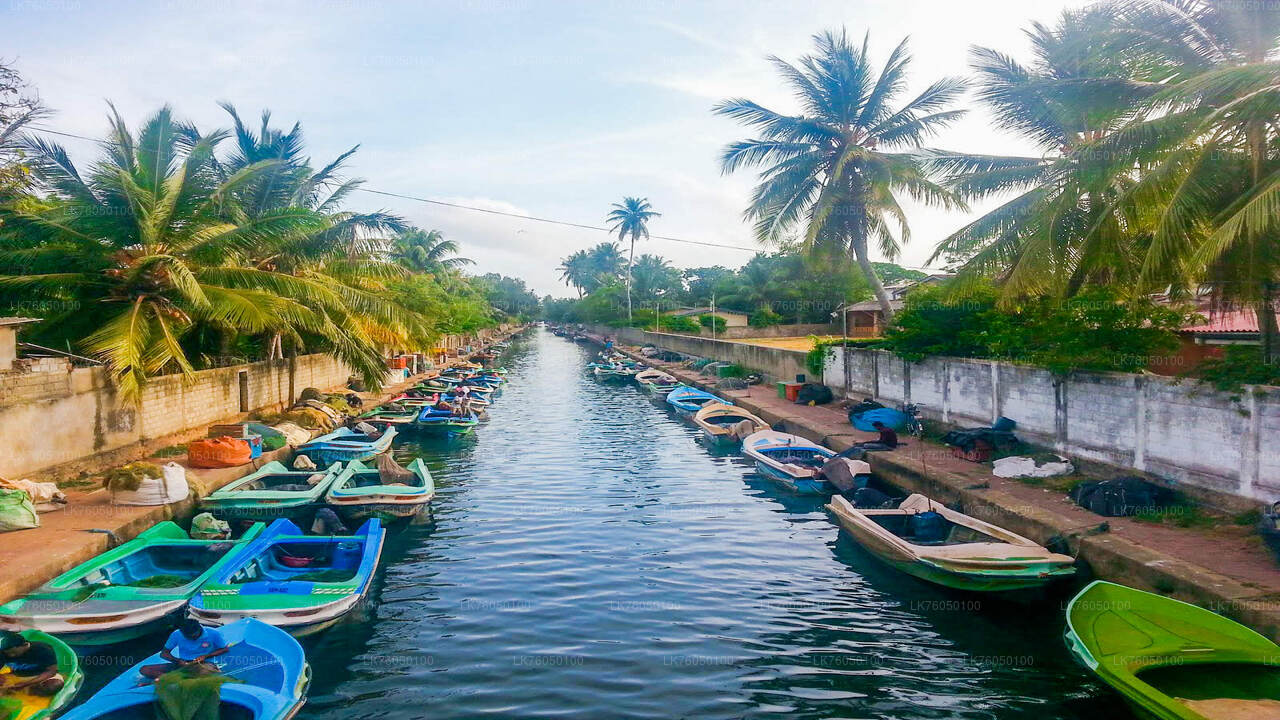 A vibrant image of a canal boat safari in Negombo, featuring a long, narrow waterway filled with various boats and surrounded by lush greenery and whitewashed buildings.