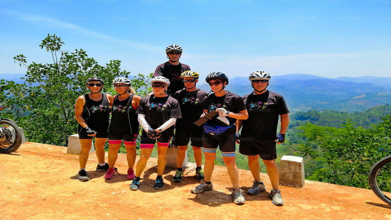 从加勒骑自行车游览乡村