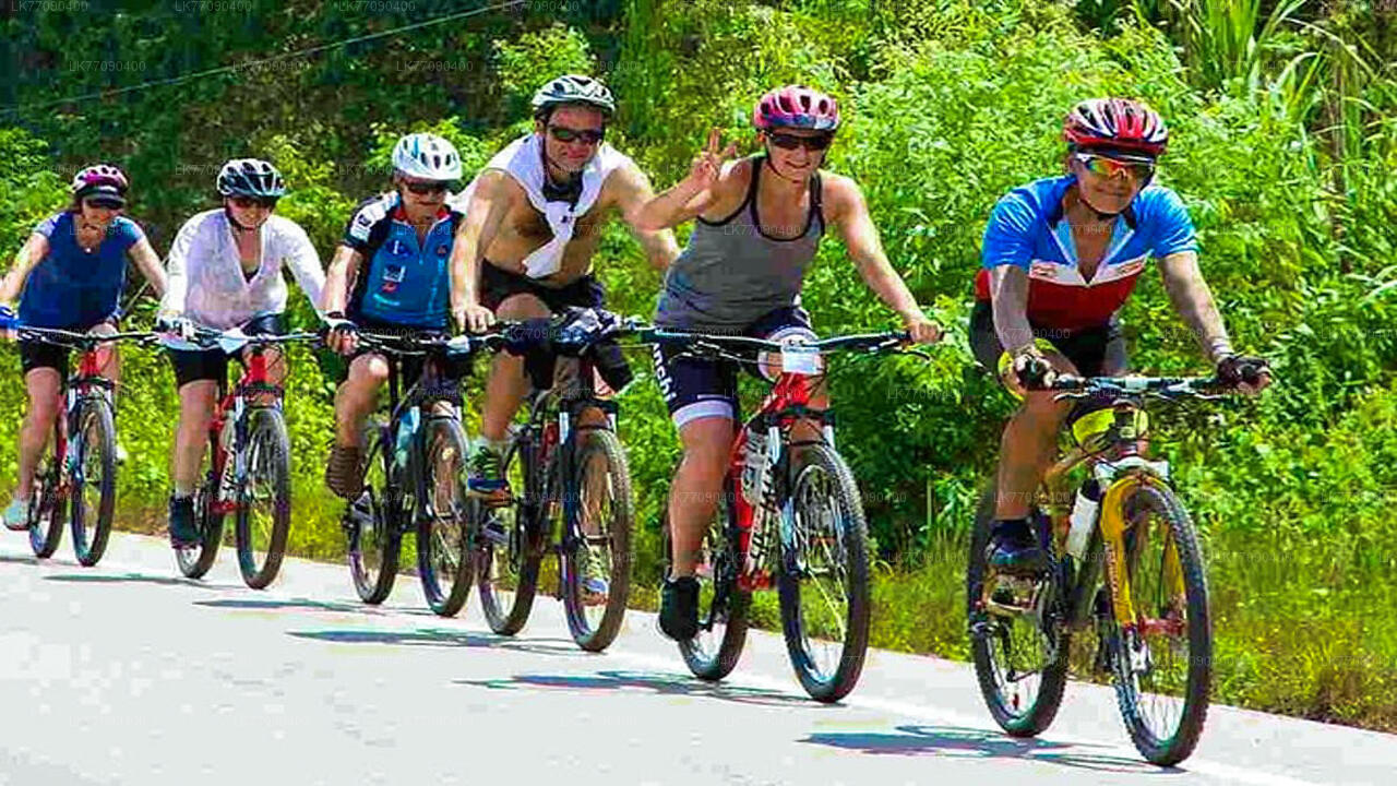 从埃拉骑自行车探索古老的埃拉