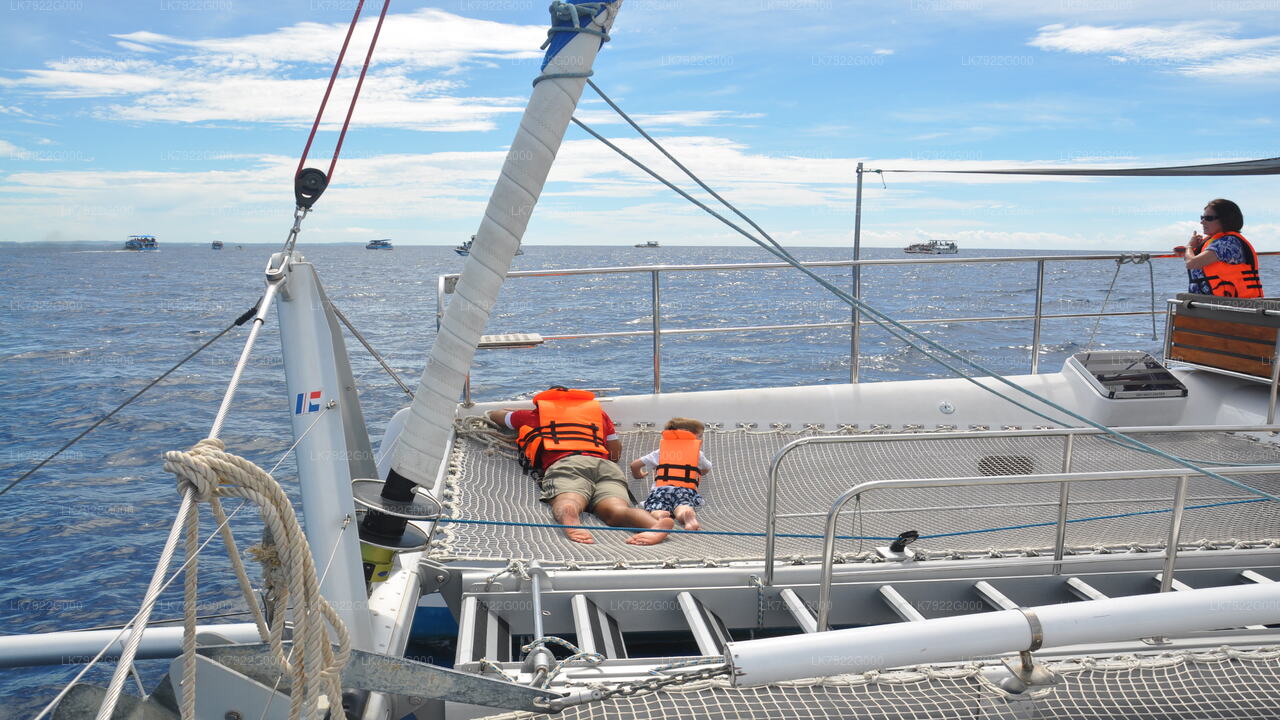 从亭可马里出发的过夜游艇假期