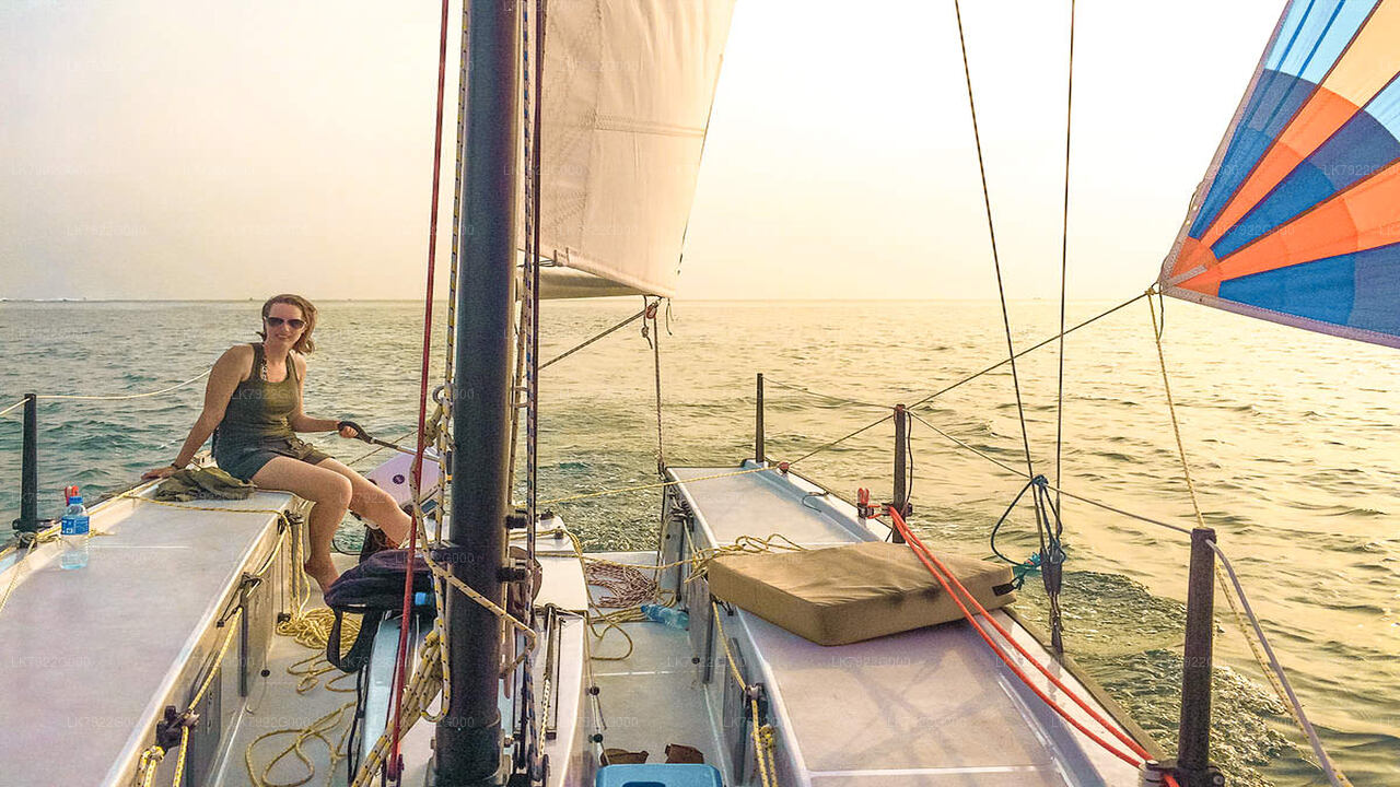 从亭可马里出发的过夜游艇假期