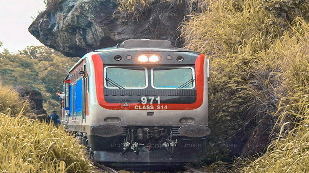 乘坐佩拉德尼亚 (Peradeniya) 到纳努奥亚 (Nanu Oya) 火车（火车编号：1001“Denuwara Menike”）