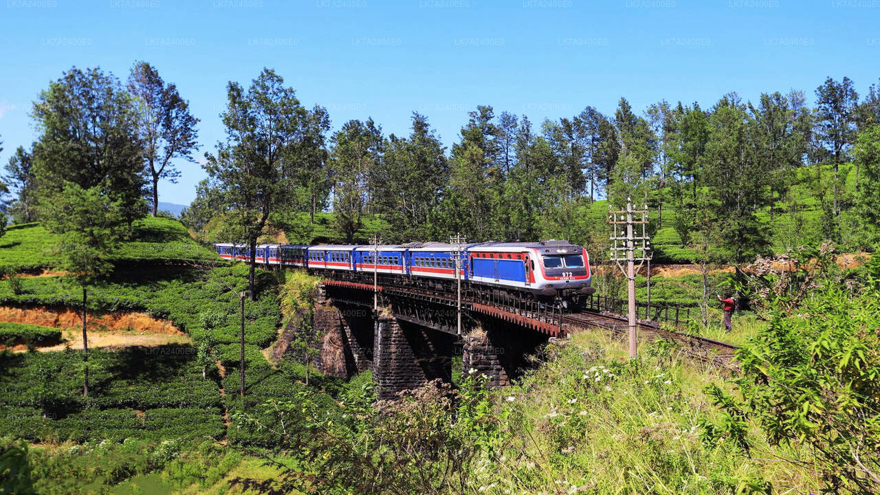 乘坐佩拉德尼亚 (Peradeniya) 到纳努奥亚 (Nanu Oya) 火车（火车编号：1001“Denuwara Menike”）