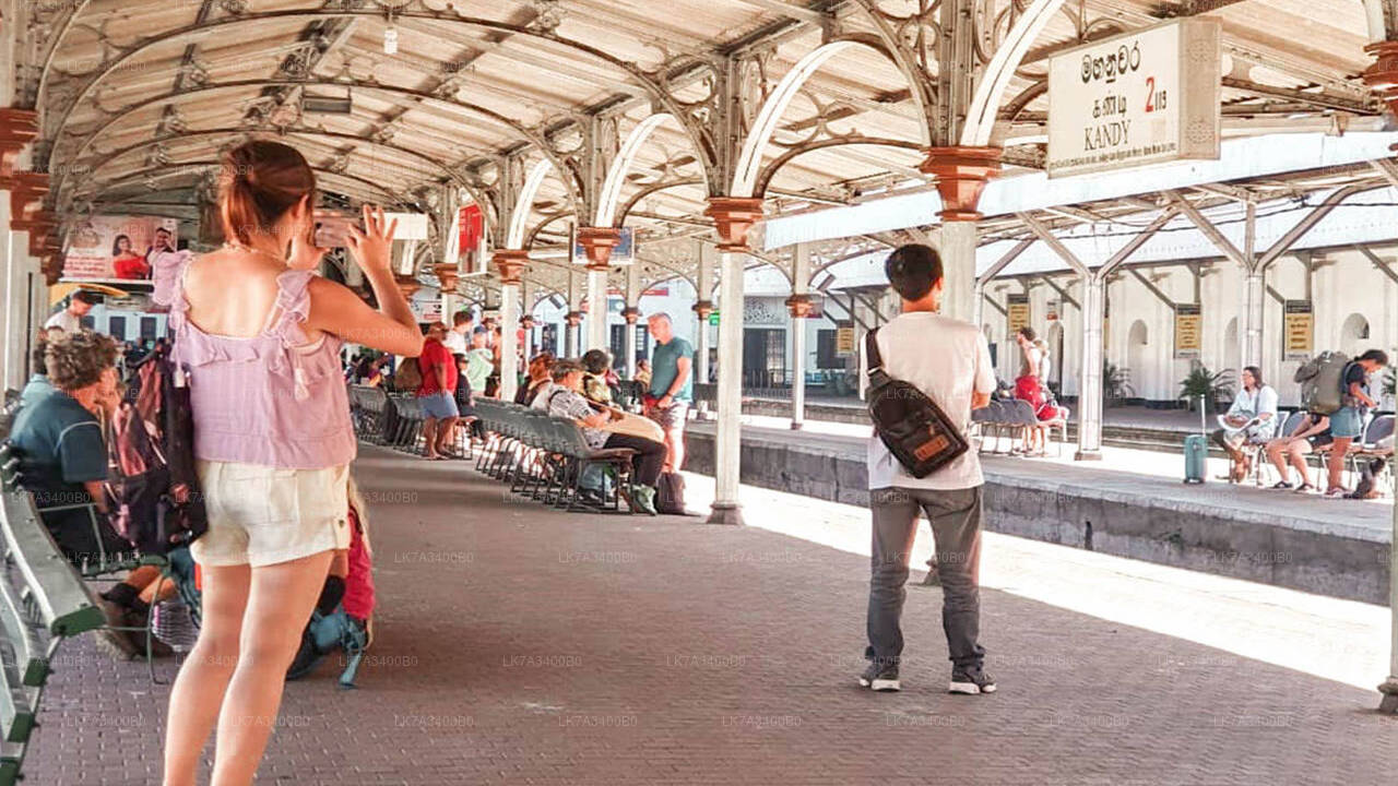 乘坐 Kandy 到 Nanu Oya 的火车（列车编号：1015 “Udarata Menike”）