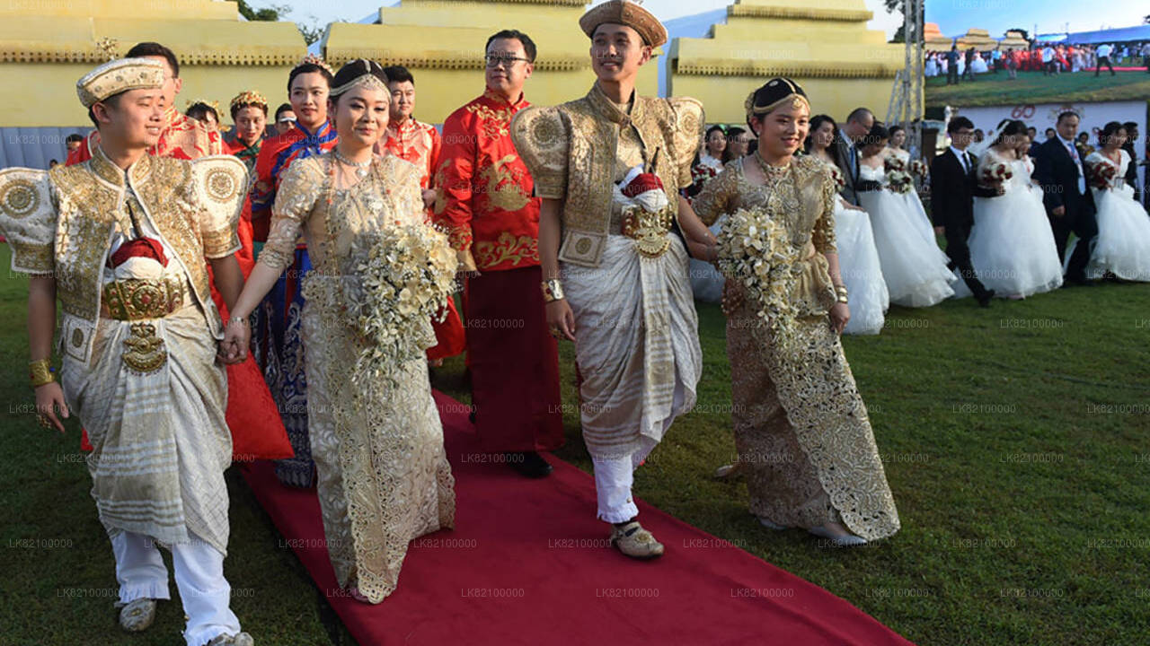 合法结婚登记