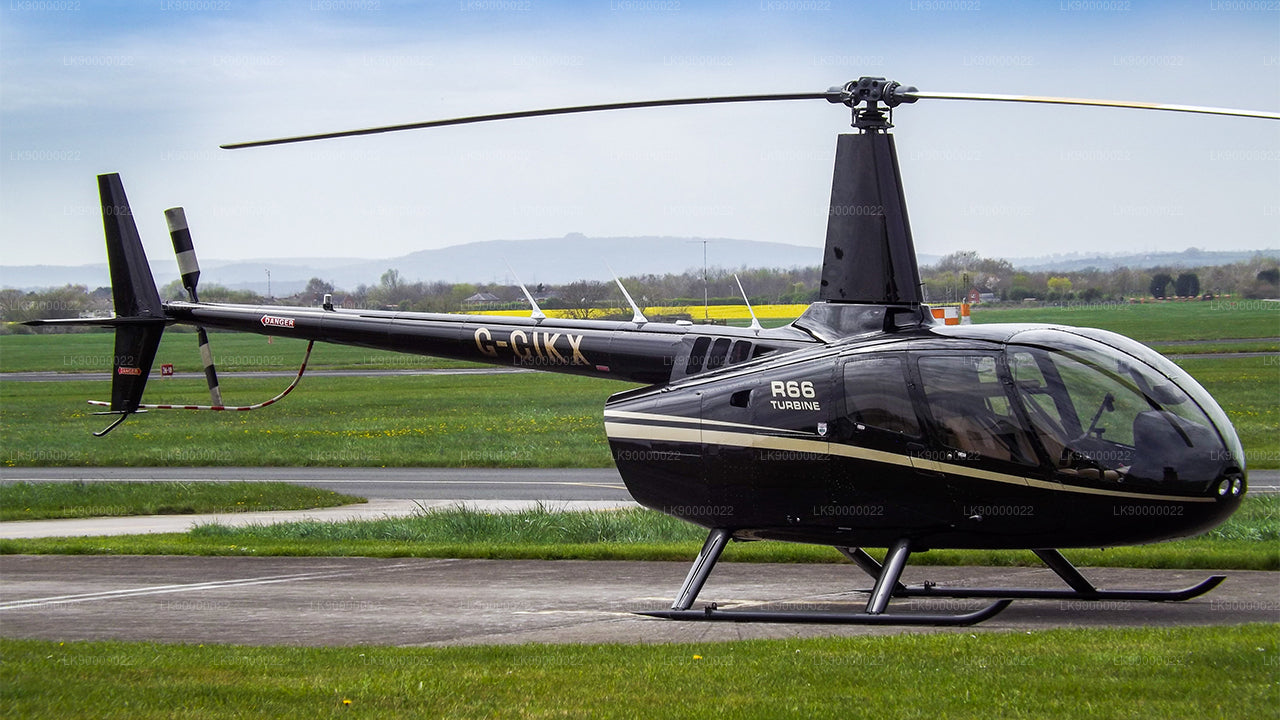 罗宾逊 R66（4 个座位）