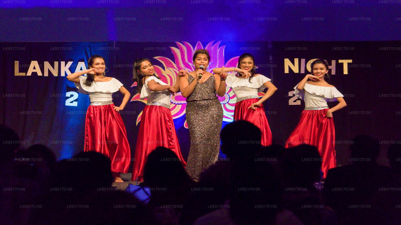 与艺术家共度夜晚