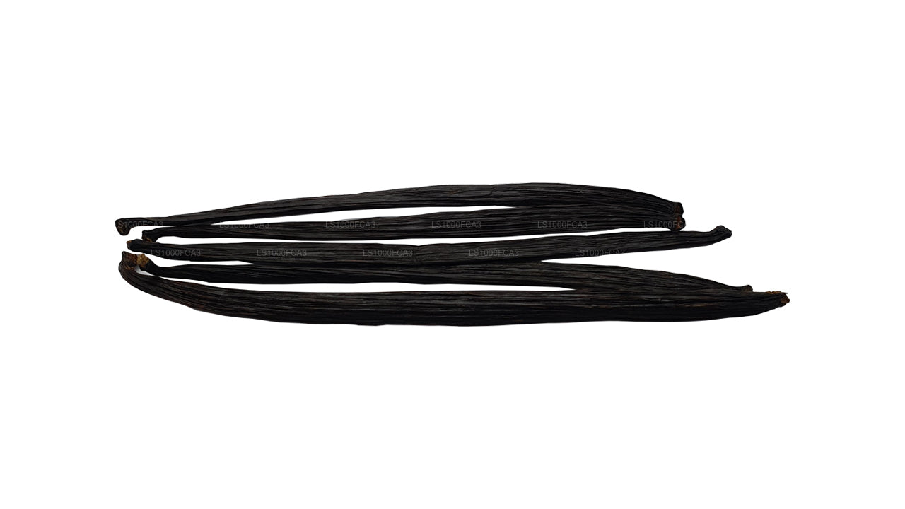 Lakpura 斯里兰卡（锡兰）“A” 级天然香草豆