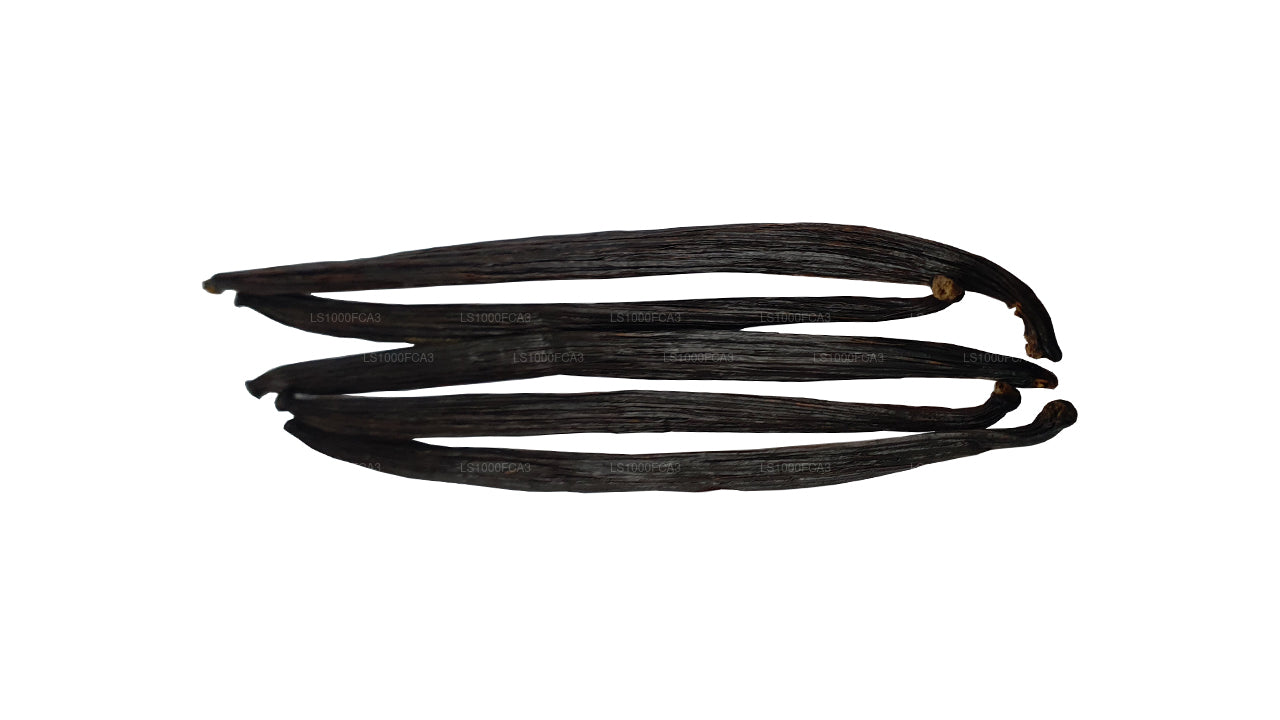 Lakpura 斯里兰卡（锡兰）“A” 级天然香草豆