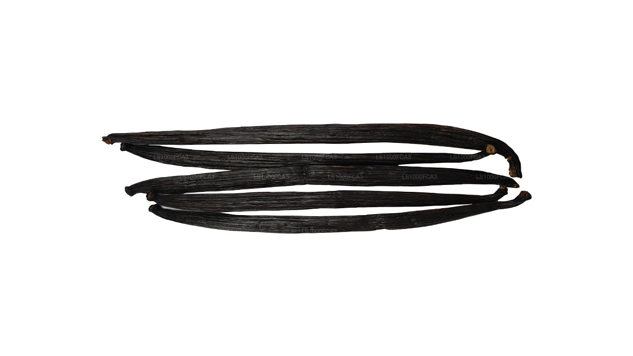 Lakpura 斯里兰卡（锡兰）“A” 级天然香草豆