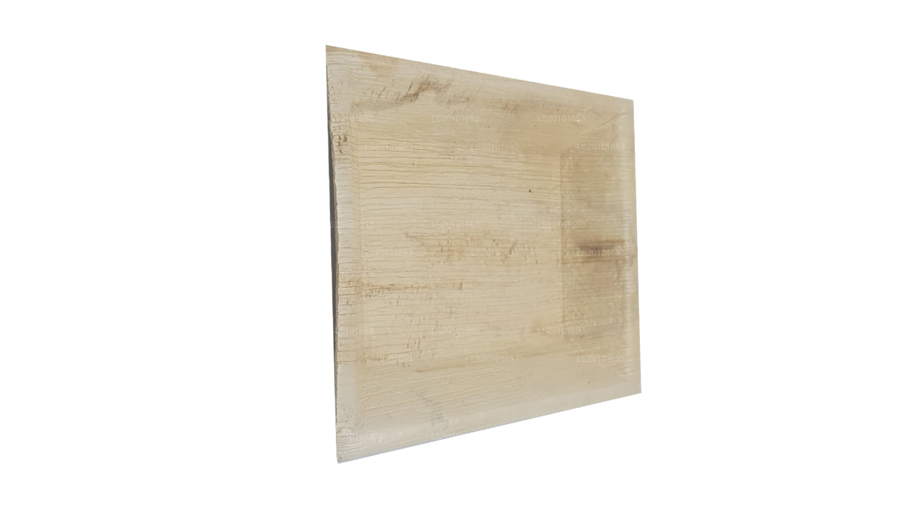 手工制作的 Areca Leaf 食物盘 20cm x 20cm（方型）