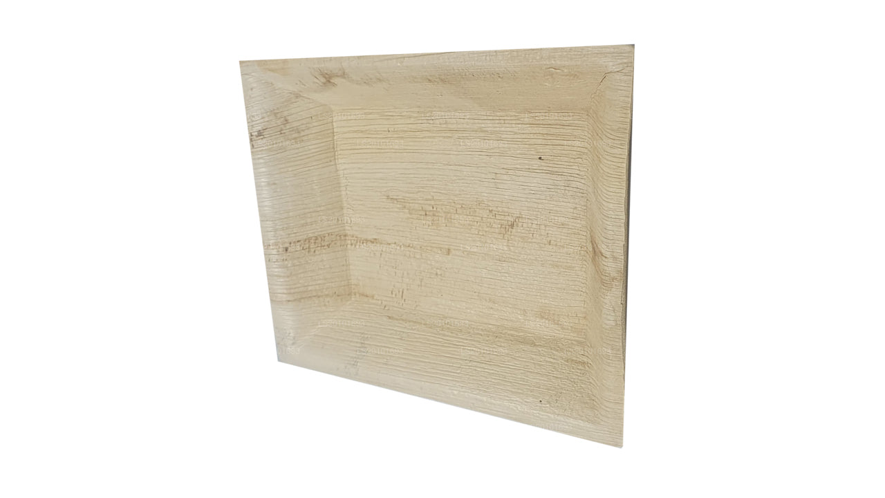 手工制作的 Areca Leaf 食物盘 20cm x 20cm（方型）